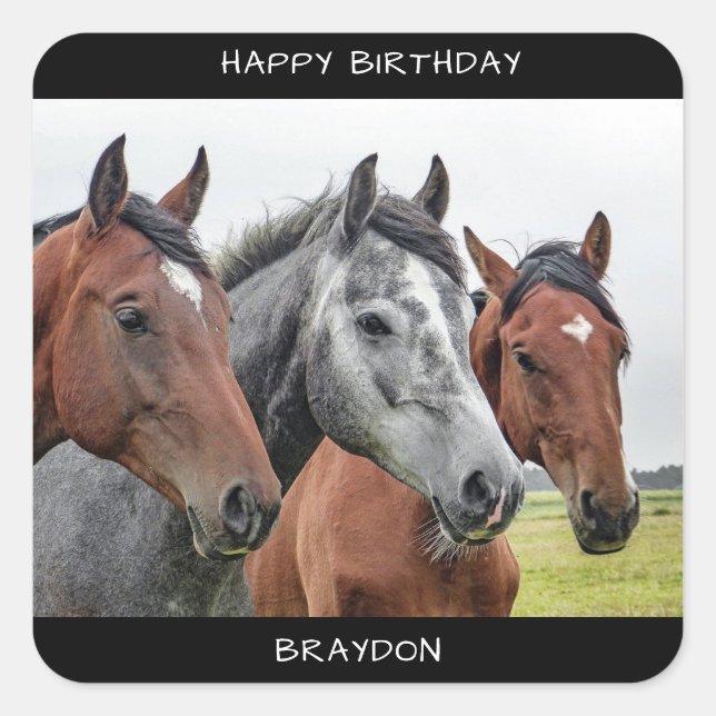 Beautiful Horse Birthday Square Sticker (Front)