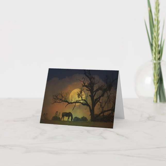 Beautiful Horse Blank Note Card (Front)