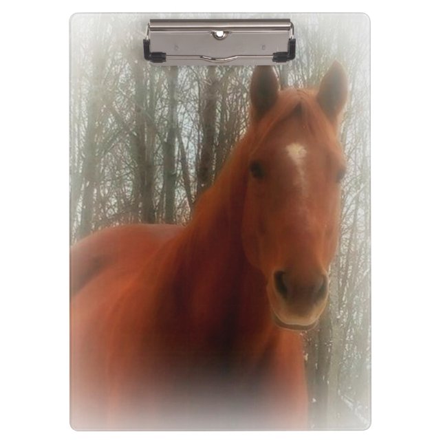 Beautiful Horse Clipboard (Front)