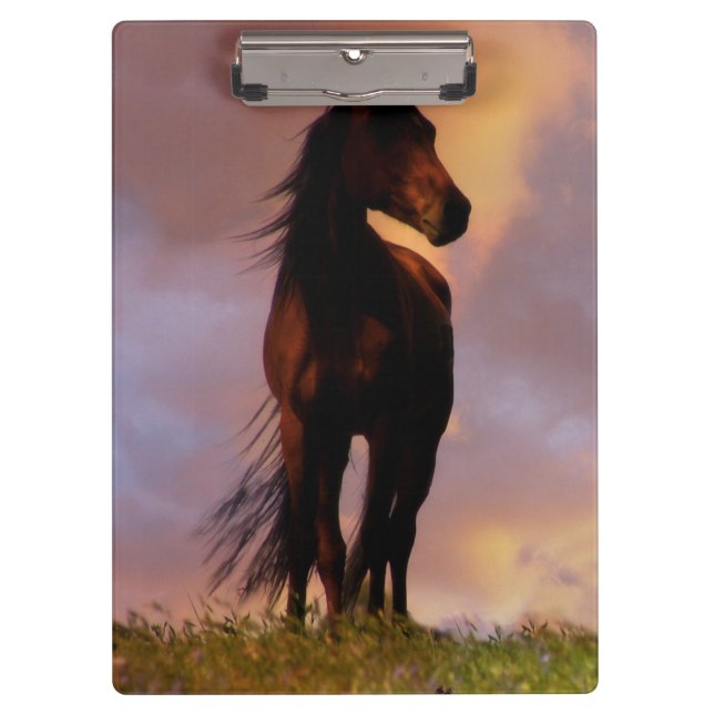 Beautiful Horse Clipboard (Front)