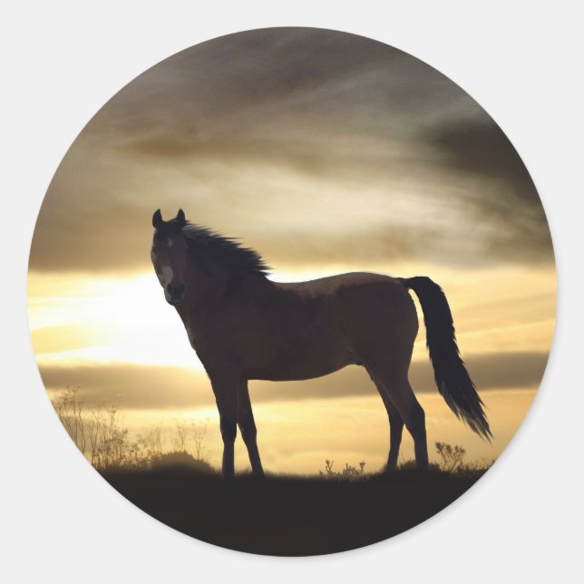 Beautiful Horse in Golden Sunset Stickers (Front)