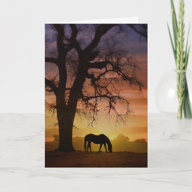 Beautiful Horse in Southwestern Sunset Birthday Card (Front)