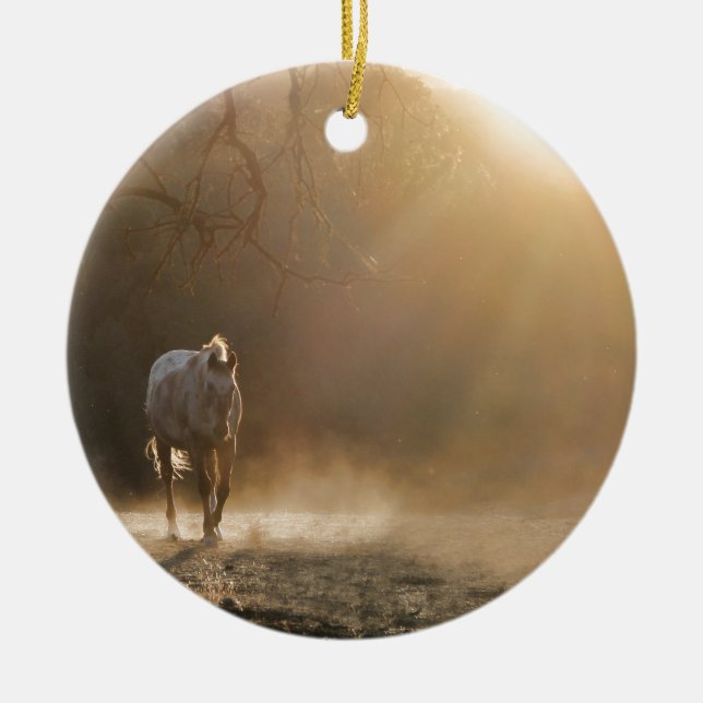 Beautiful Horse in Sunlight Gifts Ceramic Ornament (Front)