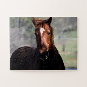 Beautiful Horse Jigsaw Puzzle