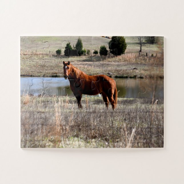 beautiful horse  jigsaw puzzle (Horizontal)