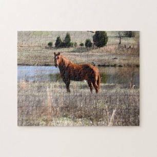 beautiful horse  jigsaw puzzle
