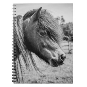 BEAUTIFUL HORSE NOTEBOOK
