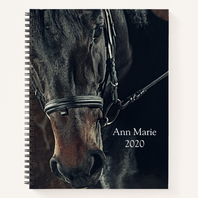 Beautiful Horse Notebook (Front)