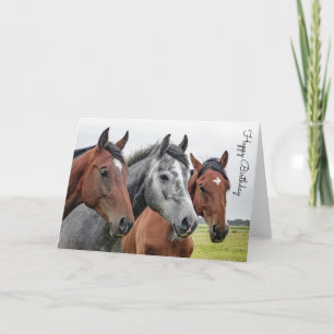 Beautiful Horse Personalized Birthday Card