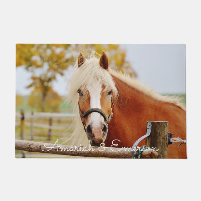Beautiful Horse Personalized Doormat (Front)