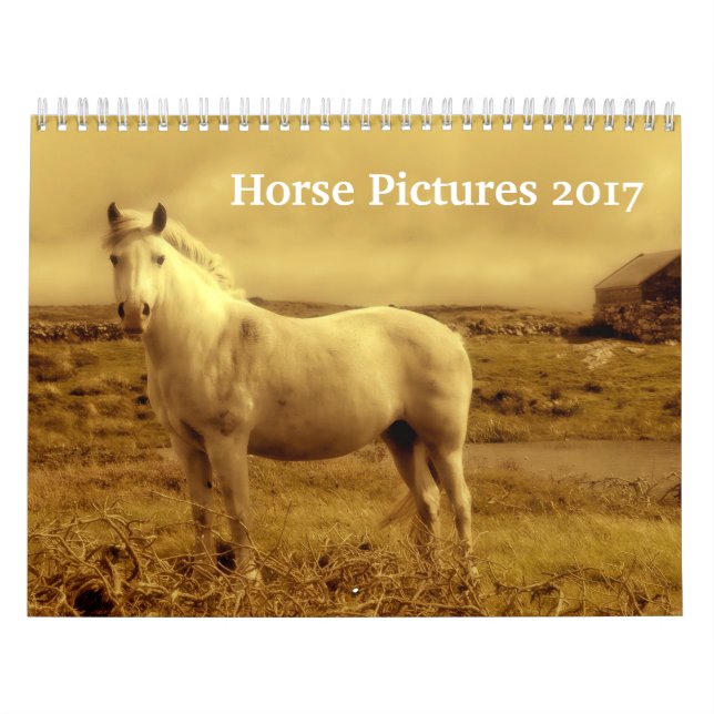 Beautiful Horse Pictures Images 2017 Calendar (Cover)
