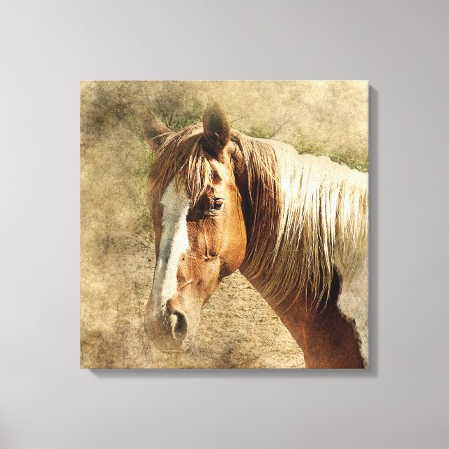 BEAUTIFUL HORSE PORTRAIT.  TAN AND WHITE HORSE CANVAS PRINT (Front)