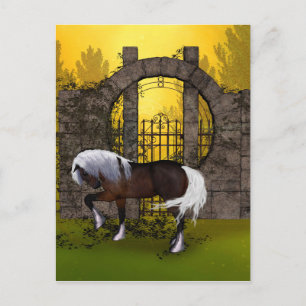 Beautiful horse postcard