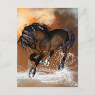 Beautiful horse postcard