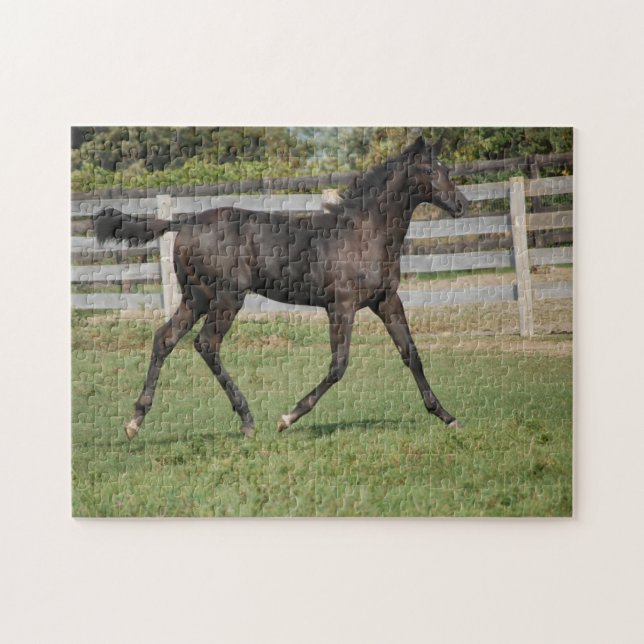 Beautiful Horse Prancing Jigsaw Puzzle (Horizontal)
