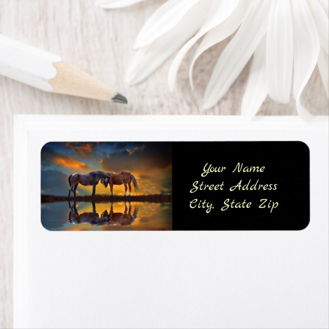 Beautiful Horse Return  Address (Insitu)