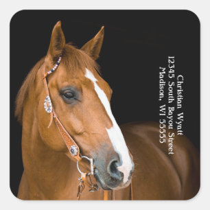 Beautiful horse return address square sticker