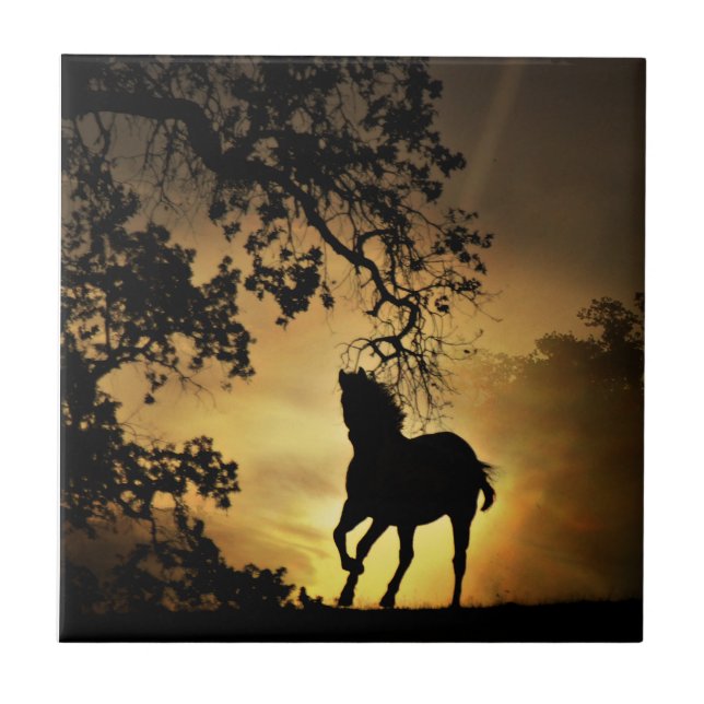 Beautiful Horse Running in the Sunset Art Tile (Front)