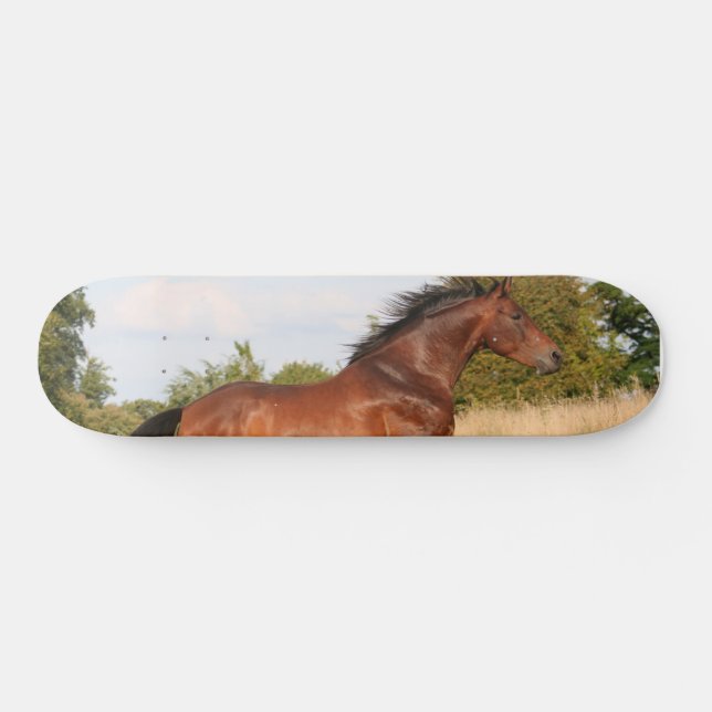 Beautiful Horse Skateboard (Horz)