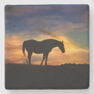 Beautiful Horse Stone Coaster
