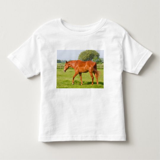 Beautiful horse toddlers, kids t-shirt, gift idea toddler t-shirt