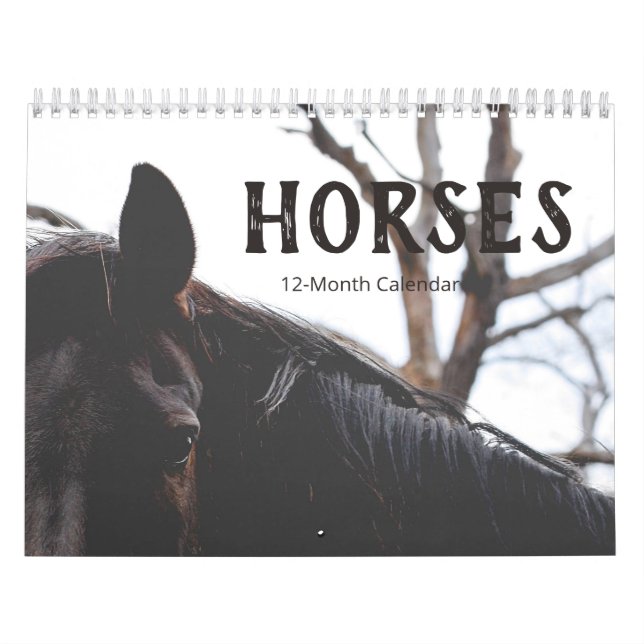 Beautiful Horses 12-Month Medium Calendar (Cover)