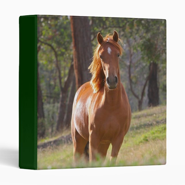 Beautiful Horses 3 Ring Binder (Front/Spine)
