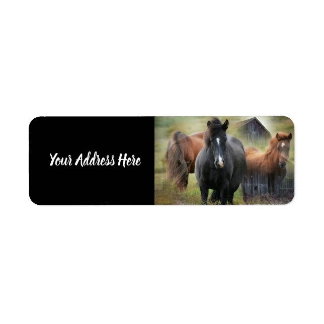 Beautiful Horses and Rustic Barn (Front)
