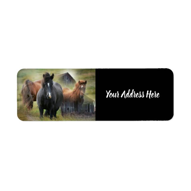 Beautiful Horses and Rustic Barn Label (Front)