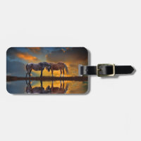 Beautiful Horses and Water