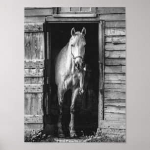 Beautiful Horses B&W Rustic Farmhouse Poster