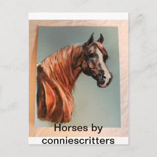 Beautiful Horses by conniescritters Postcard