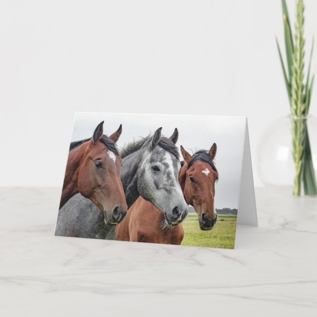 Beautiful Horses Equestrian Horse Design Card (Front)