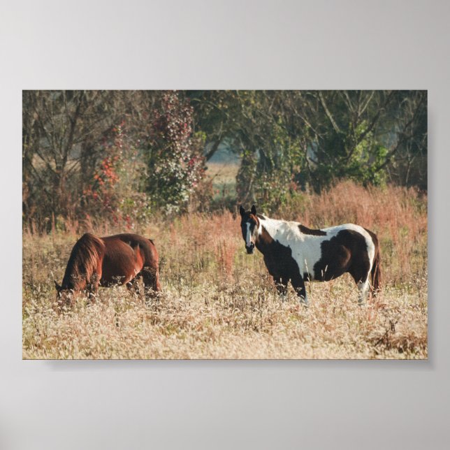 Beautiful HORSEs Fall Archival Poster Print (Front)