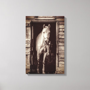 Beautiful Horses Farm Animals Brown Canvas Print