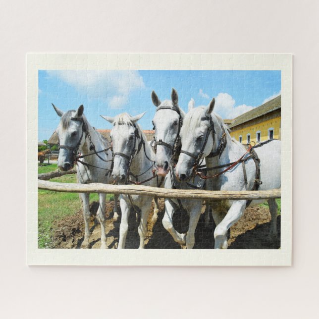 Beautiful horses jigsaw puzzle (Horizontal)
