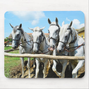Beautiful horses mouse pad