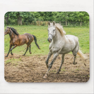Beautiful Horses Mouse Pad