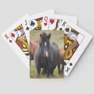 Beautiful Horses Playing Cards