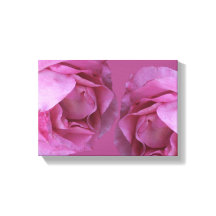 Beautiful hot pink roses simple modern floral art