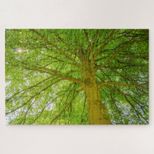 Beautiful huge green tree jigsaw puzzle