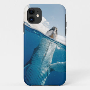 Beautiful Huge Whale iPhone 11 Case