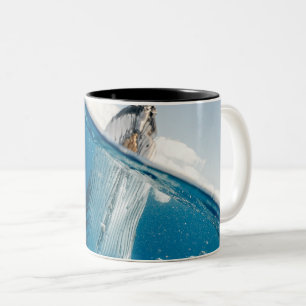 Beautiful Huge Whale Two-Tone Coffee Mug