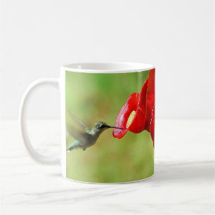 Beautiful Hummingbird Feeding Coffee Mug