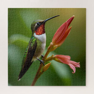 Beautiful Hummingbird Jigsaw Puzzle
