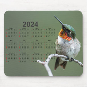 Beautiful Hummingbird on Branch 2024 Calendar Mouse Pad