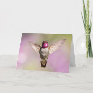 Beautiful Hummingbird Sympathy Card