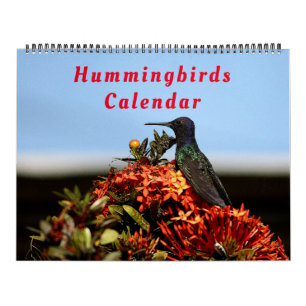 Beautiful Hummingbirds - Pretty Colourful Birds Calendar