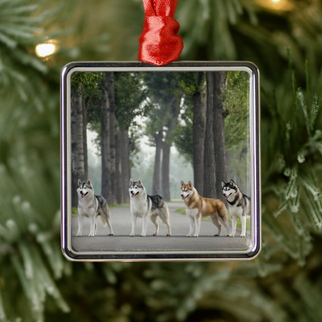 Beautiful Husky Dogs on a Nature Trail Metal Ornament (Tree)