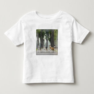 Beautiful Husky Dogs on a Nature Trail Toddler T-shirt